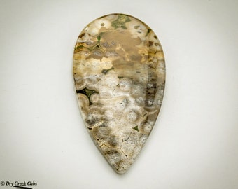 Ocean Jasper Cabochon