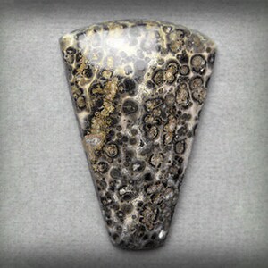 Leopardskin Jasper Cabochon