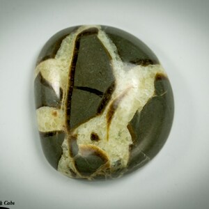 Septarin Nodule Cabochon