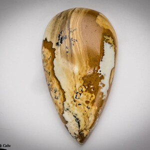 Picture Jasper Cabochon