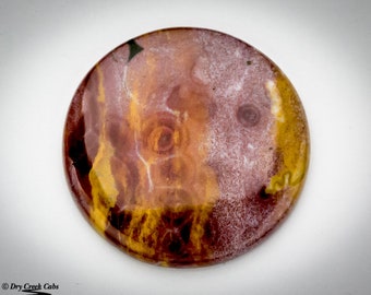 Ocean Jasper Cabochon