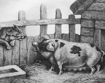 AESOP FABLES Pig Sow & Wolf - 1801 Original ETCHING Print by Howitt