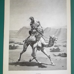 MAIL DELIVERY in Egyptian Desert Mailman Camel Rider - 1885 Victorian Era Print 15.5 x 20&quot;  (39 x 51 cm)