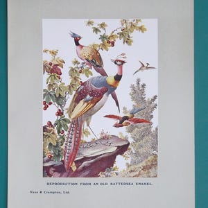 May include: A vintage print featuring colorful birds, including a pheasant with a long, patterned tail, perched on a rock. The artwork includes a branch with red berries and the text "REPRODUCTION FROM AN OLD BATTERSEA ENAMEL."
