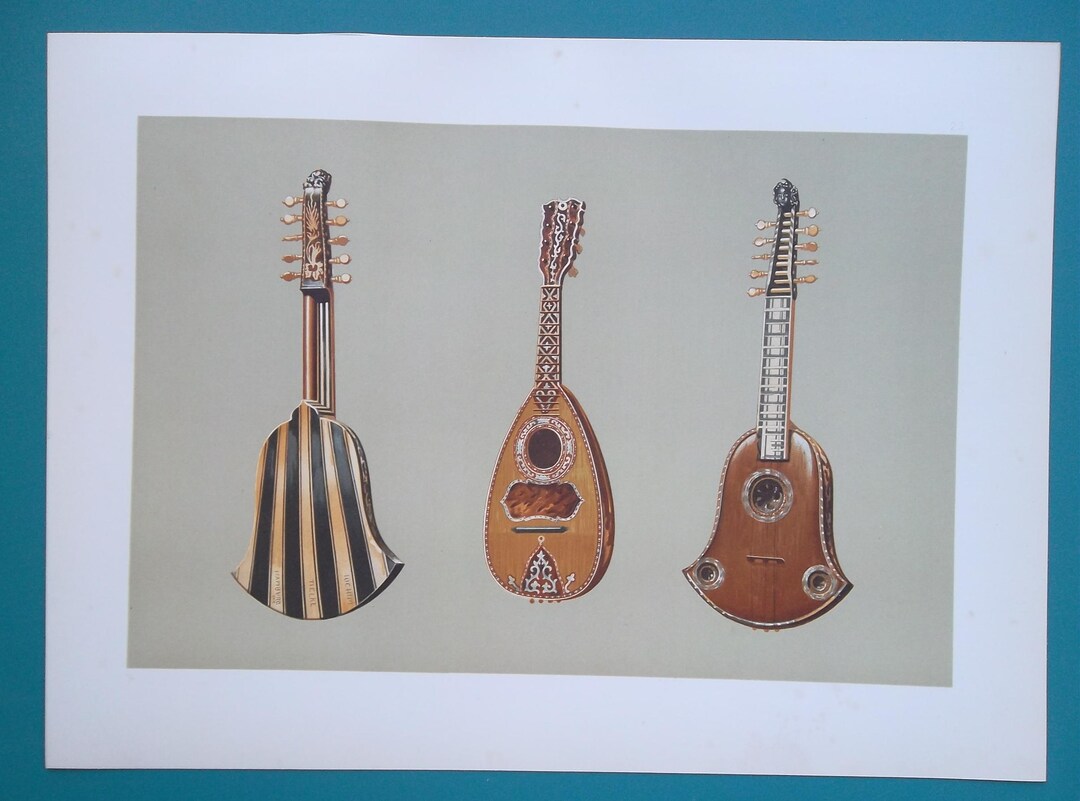 Quinterna Instrument MUSICAL INSTRUMENTS Quinterna an Italian Guitar & Mandolin - 1888 COLOR ...