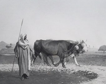 EGYPT Farmer Treading Corn with Pair of Bulls  after Gerome - 1881 SUPERB Photogravure Antique Print