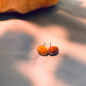 May include: A pair of stud earrings featuring small, rounded, natural snail shells. One shell is a bright, golden yellow, while the other is a deeper, reddish-brown. Each shell is attached to a thin, silver-toned metal post for ear piercing.