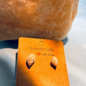 Natural Ribbed Seashell Stud Earrings