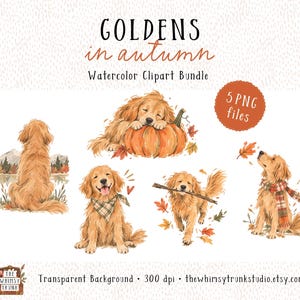 Könnte beinhalten: Ein digitales Aquarell-Clipart-Paket mit dem Titel GOLDENS in autumn, das fünf Illustrationen von Golden Retrievern zeigt: sitzend an einem See, ruhend auf einem Kürbis, mit kariertem Halstuch, einen Stock tragend und mit einem karierten Schal.