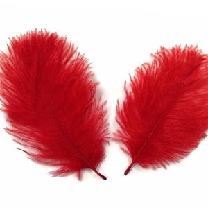 Puede incluir: Dos plumas de avestruz de color rojo vibrante con barbas suaves y plumosas que se extienden desde un eje central. Las plumas se muestran una al lado de la otra, destacando su textura esponjosa y su color carmesí saturado.