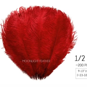 Pode incluir: Uma coleção de penas de avestruz vermelho vibrante rotuladas como Moonlight Feather. O conjunto pesa 1/2 lb, contém cerca de 200 peças e cada pena mede entre 23 e 33 cm de comprimento. As penas estão dispostas em forma de leque.