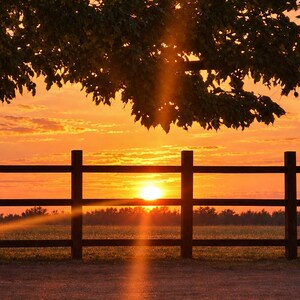 Könnte beinhalten: Ein horizontaler Holzzaun steht vor einem Feld während eines leuchtend orangefarbenen und gelben Sonnenuntergangs. Die Sonne steht tief am Horizont und wirft einen hellen Lichtschein durch die Zaunlatten. Baumzweige hängen über der Szene.