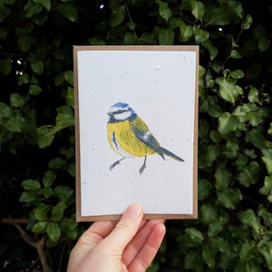 Carte de graines de fleurs sauvages de mésange bleue à planter