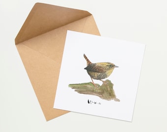 Zaunkönig Singvogel Karte