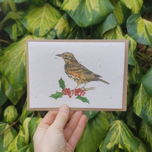 Cartão de sementes de flores silvestres plantáveis Redwing