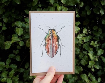 Plantable Red Beetle wildflower seed card