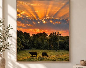 Affiche « Vaches au coucher du soleil dans un champ », décoration champêtre (téléchargement numérique)