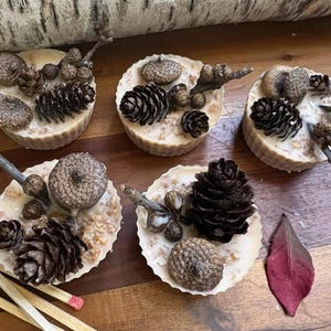 May include: Five round, off-white wax melts decorated with natural elements including brown acorns, small dark pinecones, and tiny twigs. The textured wax surface contains visible oat-like particles, and the items are arranged on a wooden surface.