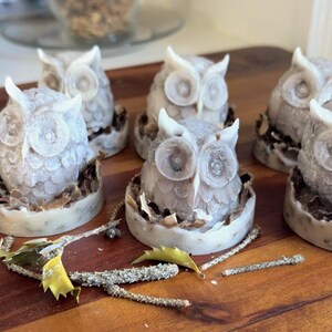 Nesting Owl Handmade Decorative Firestarters | Set of 6