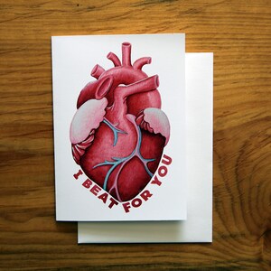 I beat For You - Art Note Card - Art Greeting Card - Anatomie - Hart