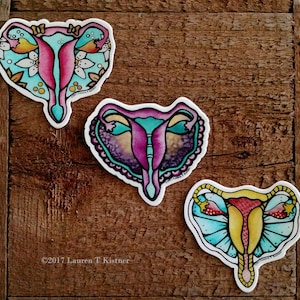 Fancy Uterus Stickers Set of 3, uterus art, female anatomy, anatomy art sticker, uterus decal, uterus lover, women&#39;s health, anatomy decal