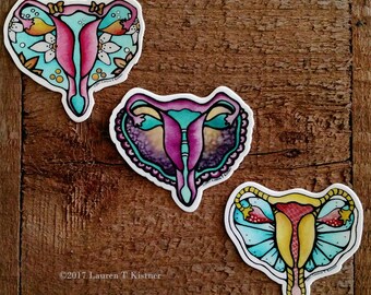 May include: Three colorful anatomical illustrations of the female reproductive system. The illustrations are on white backgrounds with a white border. The illustrations are in a watercolor style and feature a variety of colors, including pink, purple, blue, and yellow.