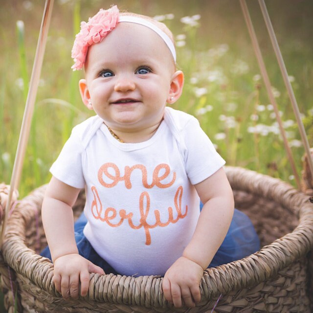 One-derful First birthday outfit girl peach and navy birthday outfit …