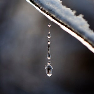 Garden in winter: a frozen dewdrop on a snowy branch