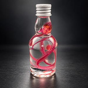 May include: A clear glass bottle with a silver screw-top lid containing a liquid and a coiled, bright pink skeletal structure. The bottle has a narrow neck and a wider base, showcasing the vibrant pink, segmented snake-like skeleton suspended inside.