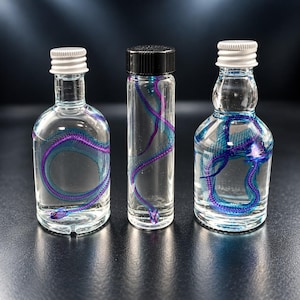 May include: Three clear glass bottles filled with liquid, each containing a preserved snake skeleton dyed in vibrant shades of purple and blue. Two bottles feature white screw-top lids, while the central cylindrical bottle has a black lid.