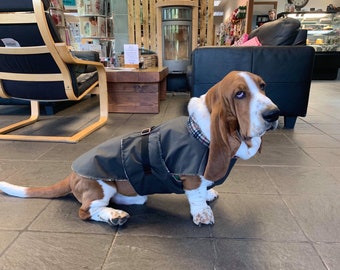 barbour dog coat small