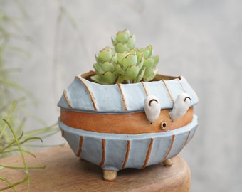 Clam plant pot shellfish , shell ,bivalve, handmade ceramic