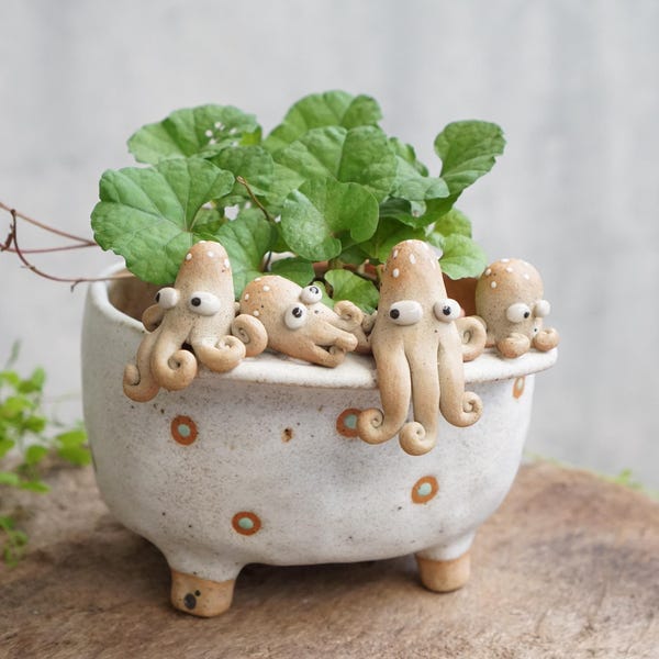 Plant pot with Squid ,cactus,ceramics,pottery,handmade,octopus