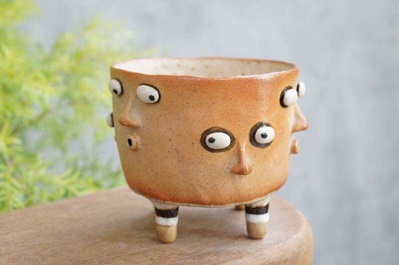 Succulent Pots Ceramic Planter Face ,polka dot image 4