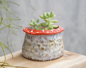 Mushroom plant pot ,succulent pots , pinch pot,mushroom red planter