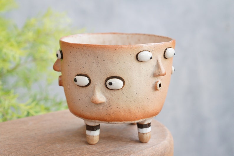 Succulent Pots Ceramic Planter Face ,polka dot image 5