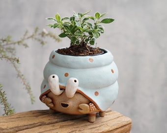 Hermit crab plant pot handmade ceramic