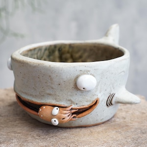 Ręcznie formowana ceramiczna doniczka w kształcie rekina, kamionka dla sukulentów