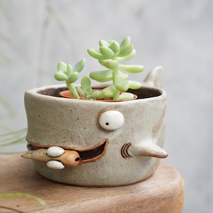 Shark pot , Shark plant pot , Handmade ceramics , pottery