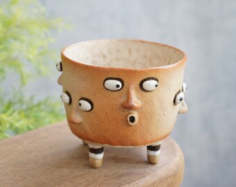 Succulent Pots Ceramic Planter Face ,polka dot