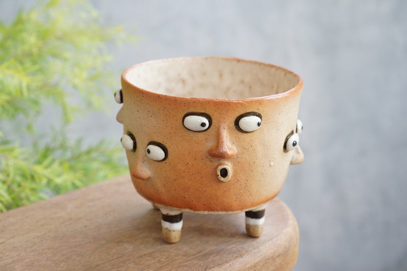 Succulent Pots Ceramic Planter Face ,polka dot image 1