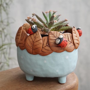 May include: A ceramic planter with a light blue base and white polka dots. The rim is decorated with brown leaf shapes and red and black ladybirds. The planter holds a small succulent plant.