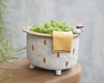 Bathtub plant pot ,bath,succulent pots , pinch pot.
