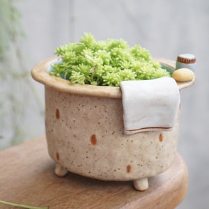 Bathtub plant pot ,bath,succulent pots , pinch pot.