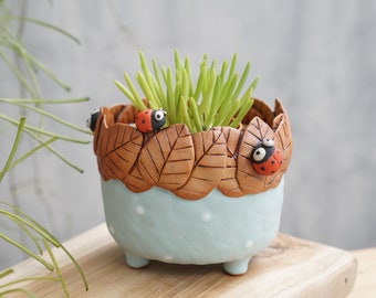 Ladybugs ceramic plant pot , cactus ,Ladybugs planter, handmade ceramic,flower pot,planter