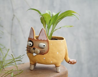 Cat plant pot ,two tone,cactus,ceramics,pottery,handmade,succulent pots cute