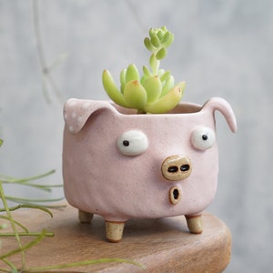 Ceramic pig planter, pig planter,Pig pink cactus planter, pig pot, Handmade pottery