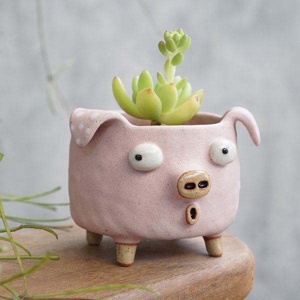 Ceramic pig planter, pig planter,Pig pink cactus planter, pig pot, Handmade pottery