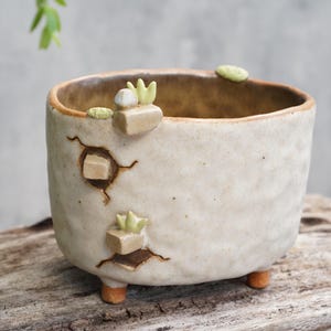 Ceramic plant pot , cactus ,Planter, handmade ceramic,flower pot, crack.