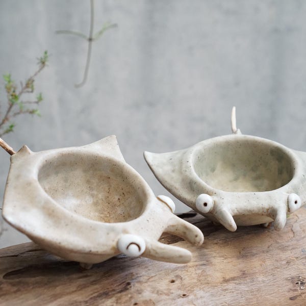 Stingray handmade succulent planter set 2 pleces ,sea ray,Batoidea